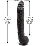 Doc Johnson Dick Rambone Black - Image 6