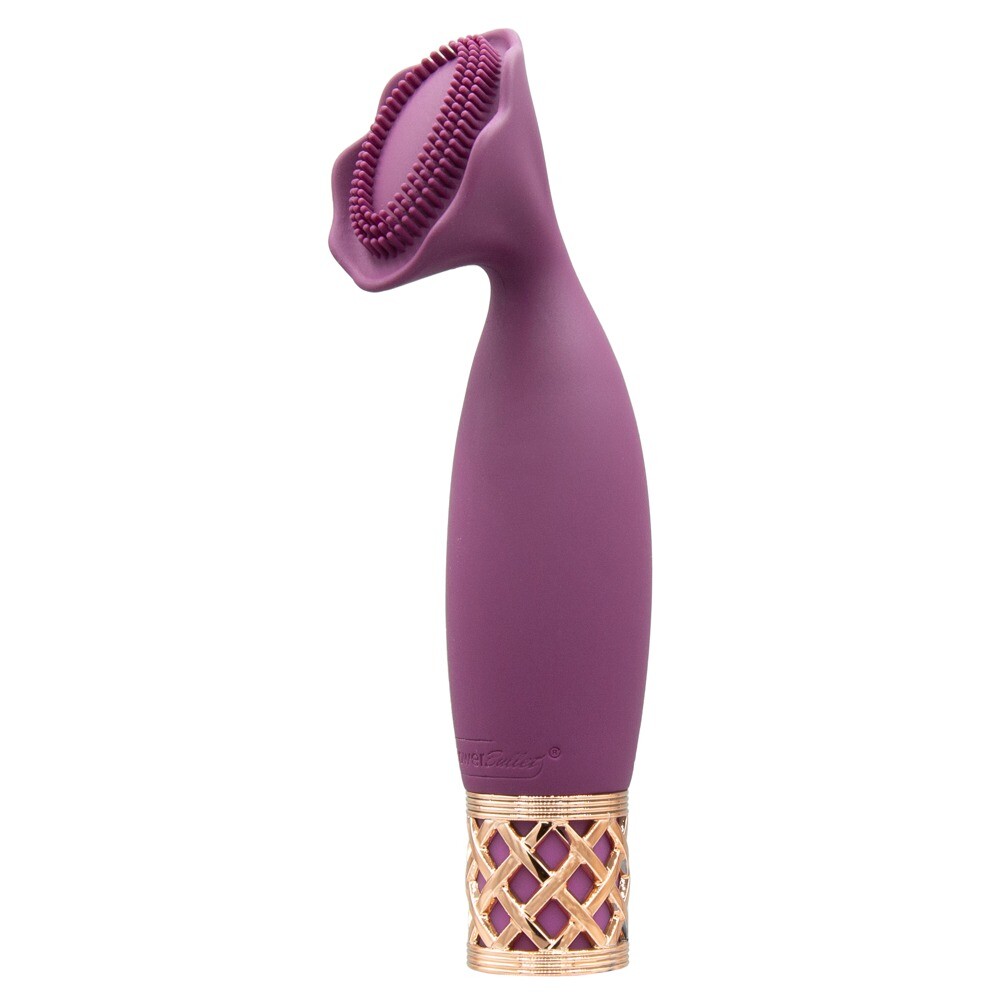 27624x1.jpg Pillow Talk Secrets Passion Mini Massager - Image 1