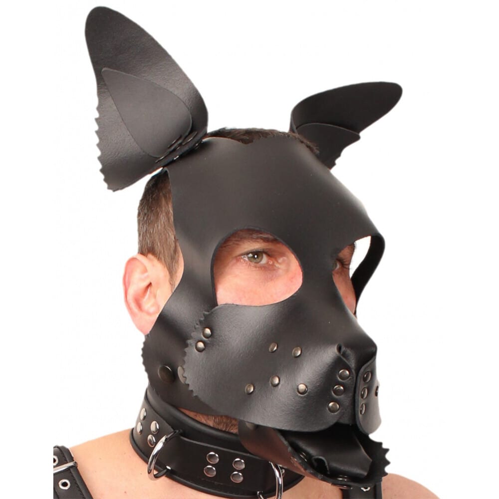 3701019811331x1.jpg The Red Leather Puppy Dog Mask - Image 1