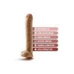 Dr. Skin Dr. Michael 14 Inch Dildo with Balls - Image 3