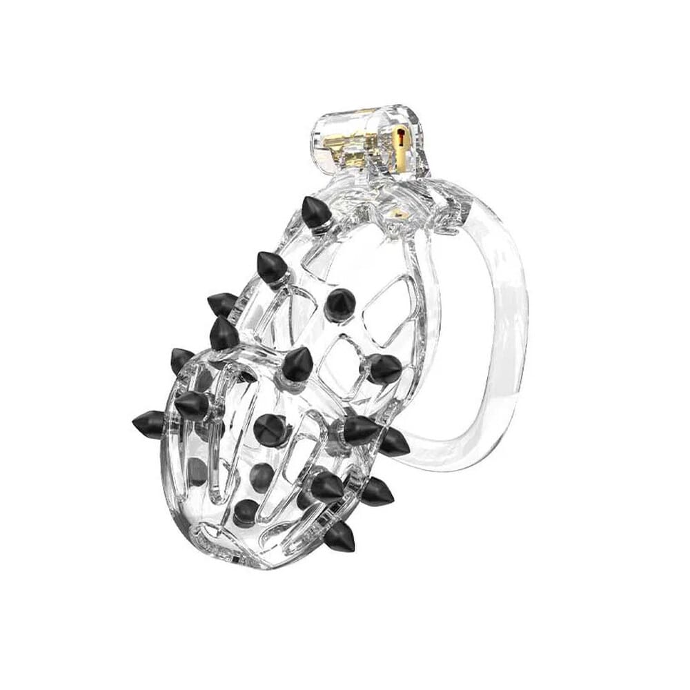 R2627x1.jpg Rimba PCage PC09 Medium Transparent - Image 1