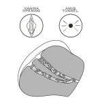 Lovetoy Streetgirls Number 4 Masturbator Flesh Pink - Image 4