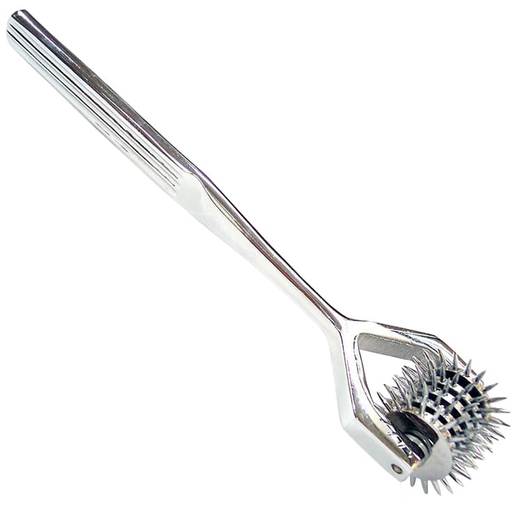 RPW03x1.jpg Rouge Stainless Steel 5 Wheel Pin Wheel - Image 1