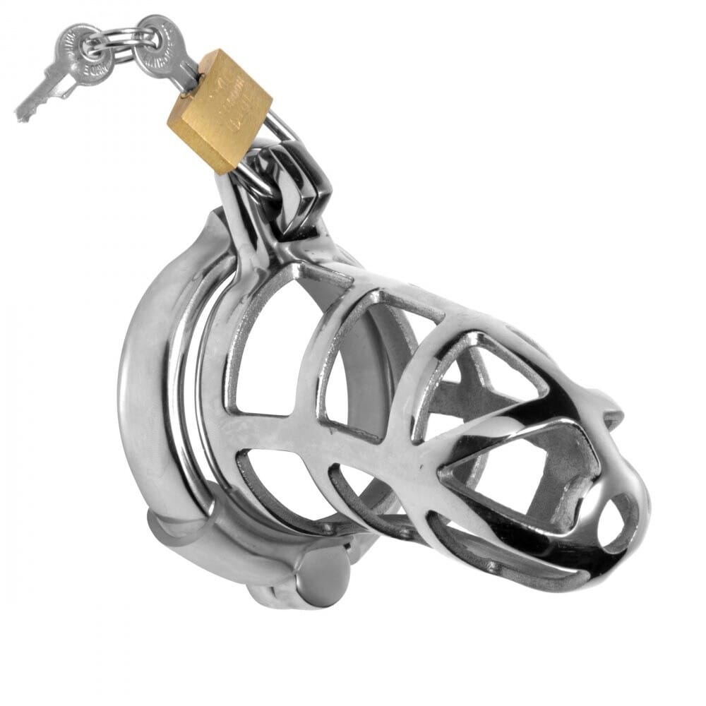 SL101x1.jpg Master Series Chastity Cock Cage - Image 1